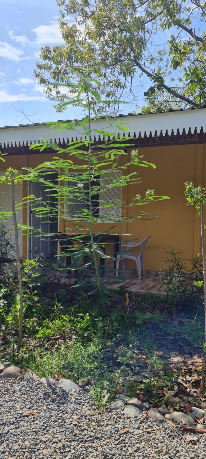 Apartamentos Sol カウイータ 部屋 写真